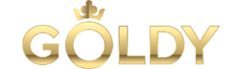 PLAYZONE goldy logo png